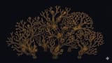 CORAL: Autonomous Multi-Agent Evolution for Open-Ended Discovery