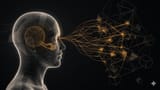 UserHarness: Reconstructing User Minds for Stronger Agent Theory of Mind